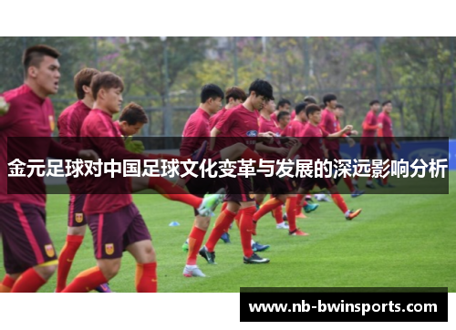 金元足球对中国足球文化变革与发展的深远影响分析