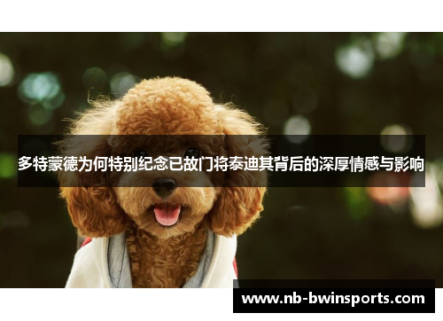 多特蒙德为何特别纪念已故门将泰迪其背后的深厚情感与影响