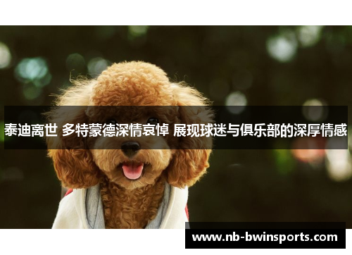 泰迪离世 多特蒙德深情哀悼 展现球迷与俱乐部的深厚情感